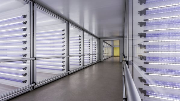 How to keep every embryo in the incubator at the optimal temperature for outstanding development?